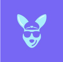RideSkipper